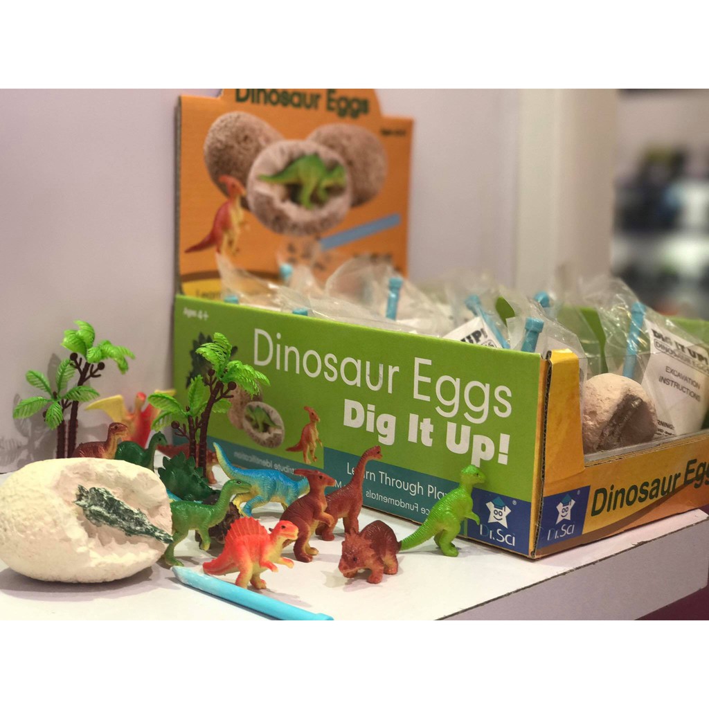 TRỨNG KHỦNG LONG HOÁ THẠCH - DINOSAUR EGGS - DIG IT UP!!! (combo 12 quả)