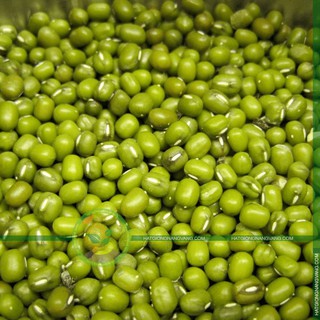 Hạt giống Đậu xanh 100gr