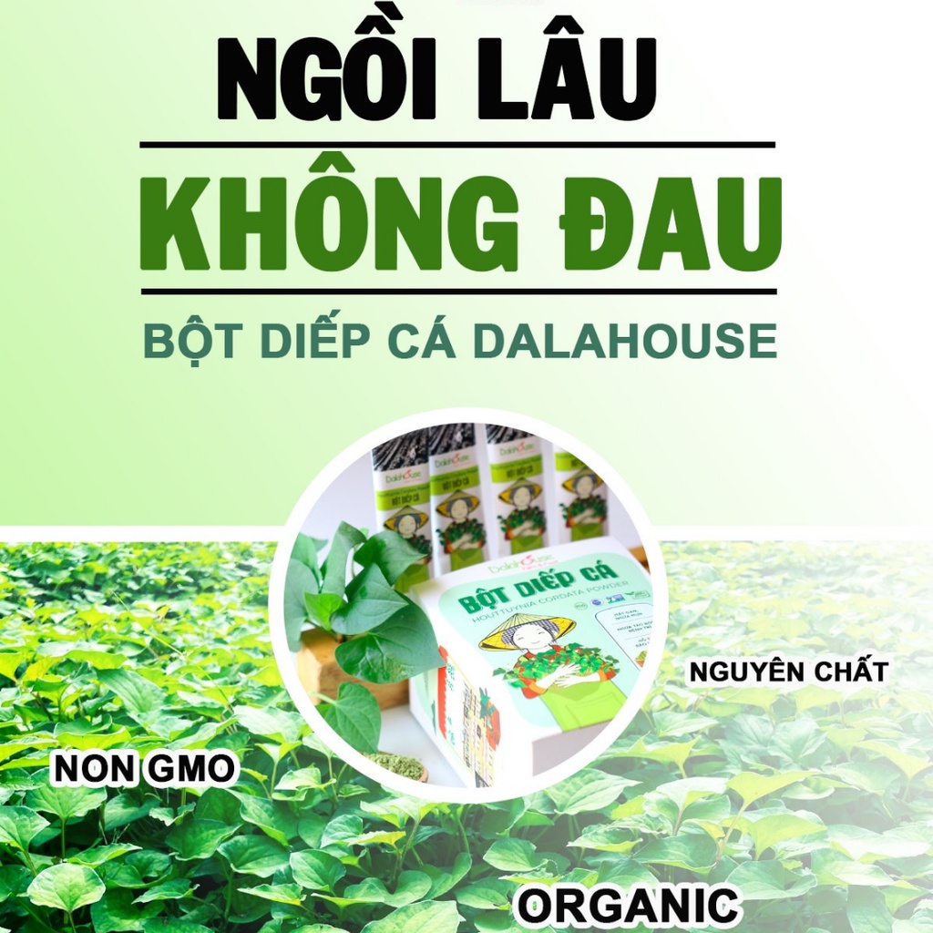 Bột Diếp Cá Nguyên Chất Dalahouse Gói Nhỏ 3g Tiện Lợi - Bột Diếp Cá Uống Liền