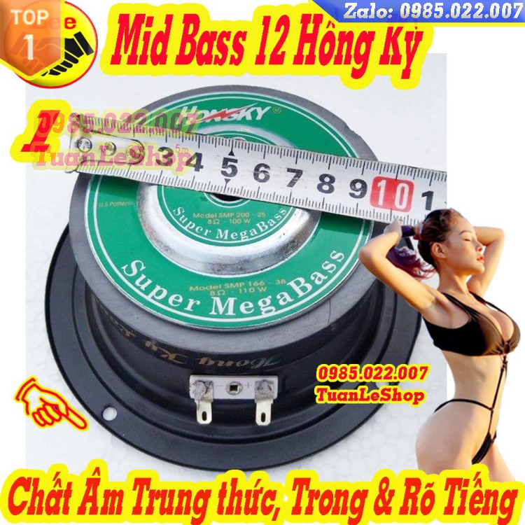 Loa  TRUNG 1.2 TẤC - LOA TRUNG 12 HỒNG KỲ VÀNG – GIÁ 01 LOA