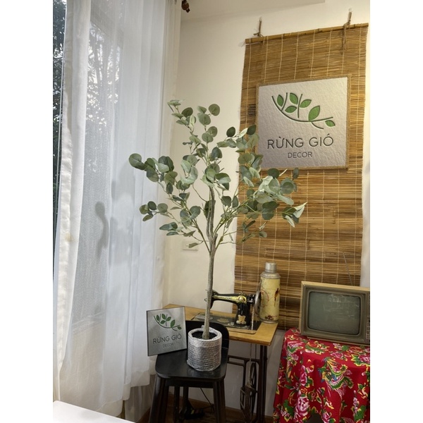 Cây Lá Táo, Bạch Đàn giả trang trí - Decor ngôi nhà đẹp hơn