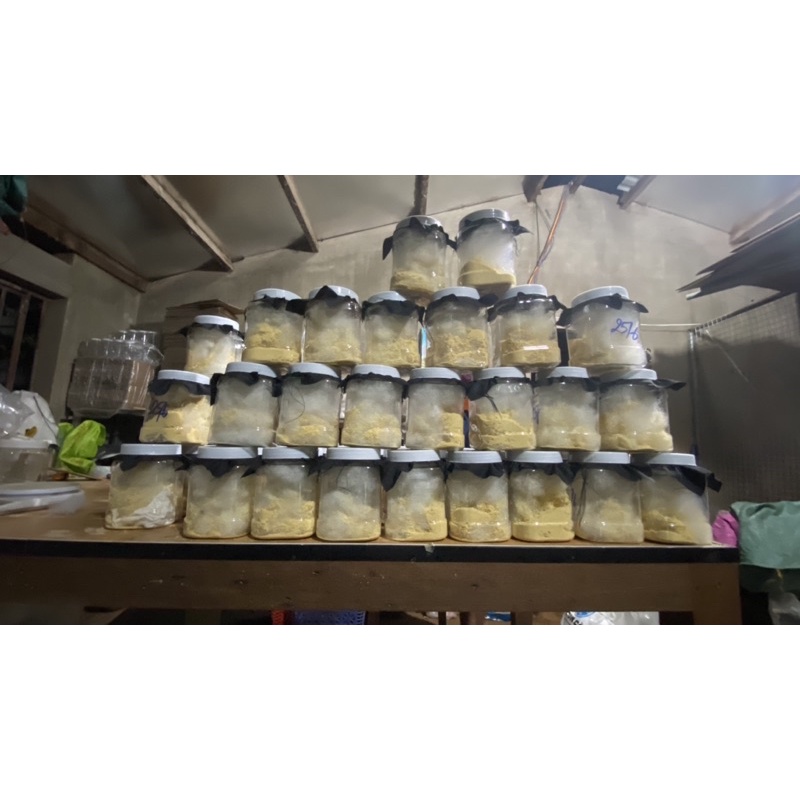 Trứng Ruồi Lính Đen