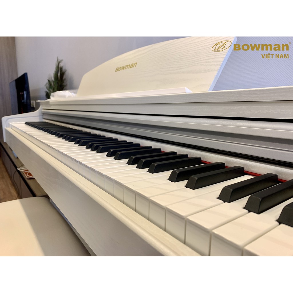 PIANO ĐIỆN MỚI BOWMAN CX250 (MODEL 2021) lắp đặt tại chung cư Việt Đức Complex