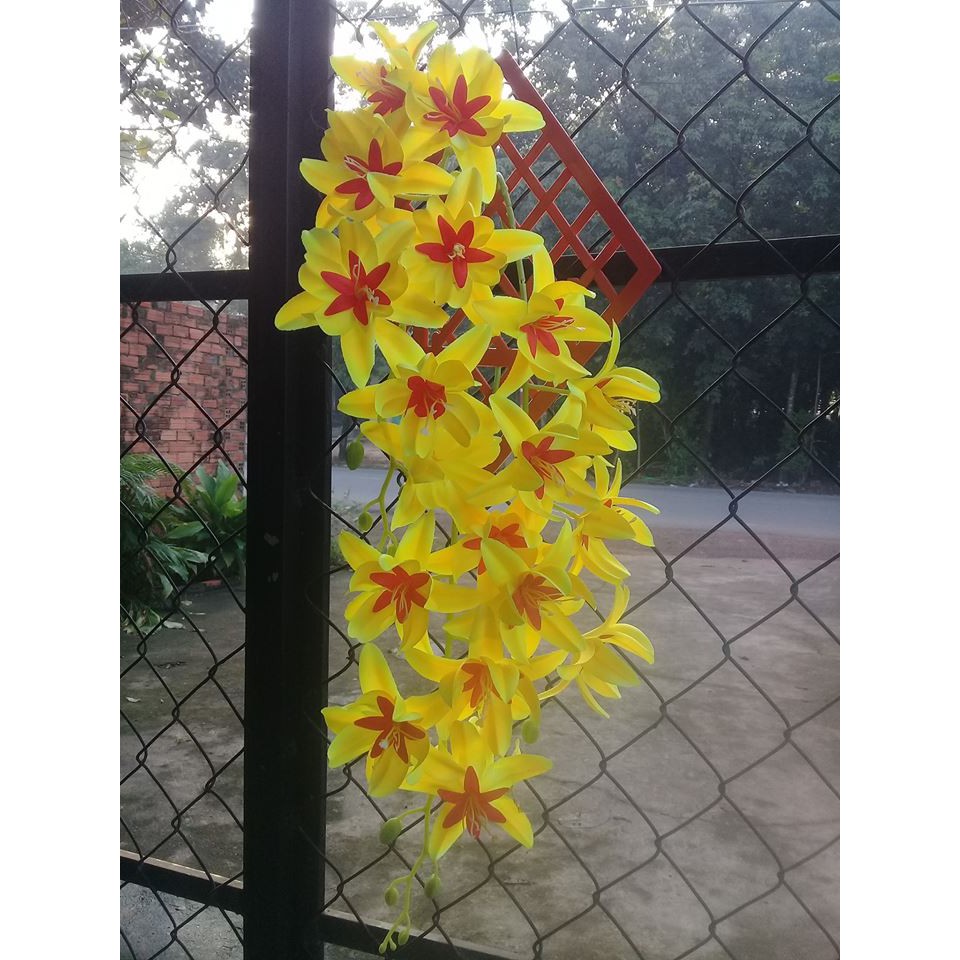 Vỉ treo hoa tường