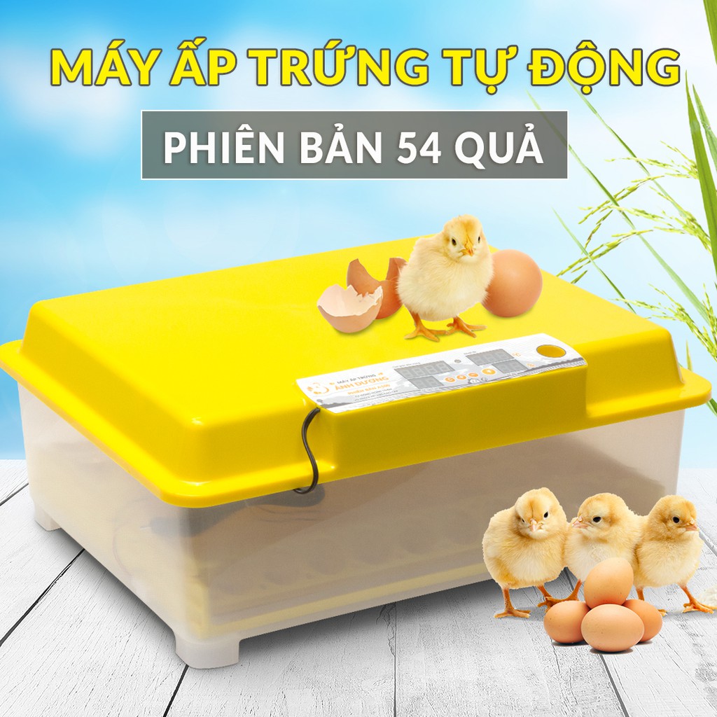 Máy ấp trứng Ánh Dương A100 - Bản 54 trứng