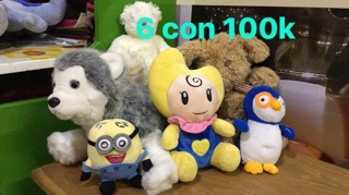 Gấu sét 100k