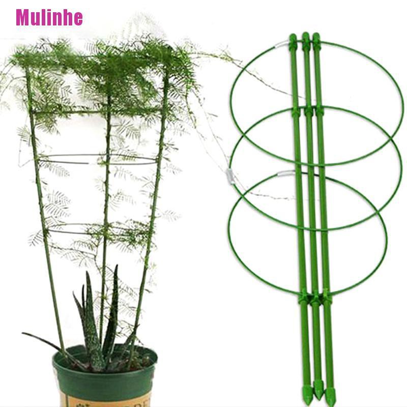 Giá đỡ trồng cây và hoa dây leo kích thước 60cm trong sân vườn