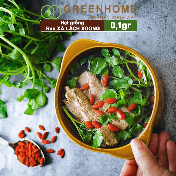 Hạt giống rau Xà lách Xoong Greenhome, gói 0.1g, dễ trồng, thu hoạch nhanh R01