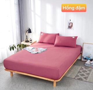 Sét 3 món ga gối cottong TICI(ib cho shop để chọn size)