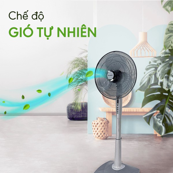 Quạt điện Sharp PJ-S40RV-WH | PJ-S40RV-LG | PJ-S40RV-DG | PJ-L40RV-WH | PJ-L40RV-LG | PJ-L40RV-DG