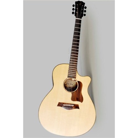 Acoustic Guitar Taylor Việt Nam D350