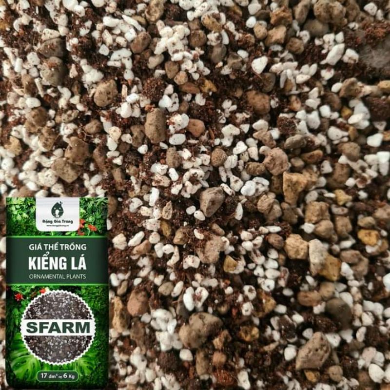 Giá thể, đất trồng Kiểng Lá Sfarm gói 17dm3 ( khoảng 6kg )