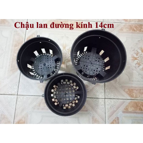 Chậu trồng lan đen phi 14cm, đường kính 14cm