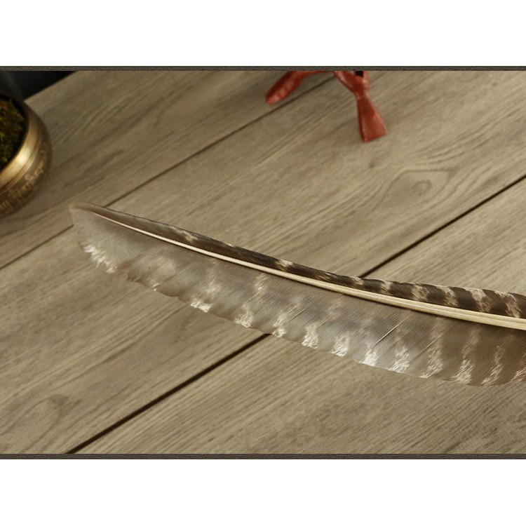 Smudging Feather/ Lông vũ quạt khói Sage/ Lông gà tây đen