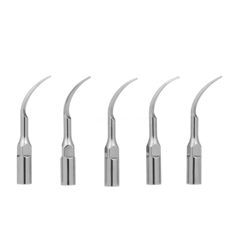 Đầu lấy cao Woodpecker