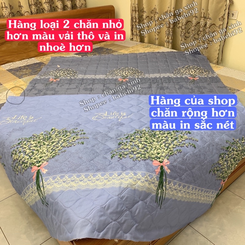 Bộ chăn ga và vỏ gối hè thu gọn nhẹ , Mền Ga Gối Poly cotton chần bông 3 lớp | BigBuy360 - bigbuy360.vn