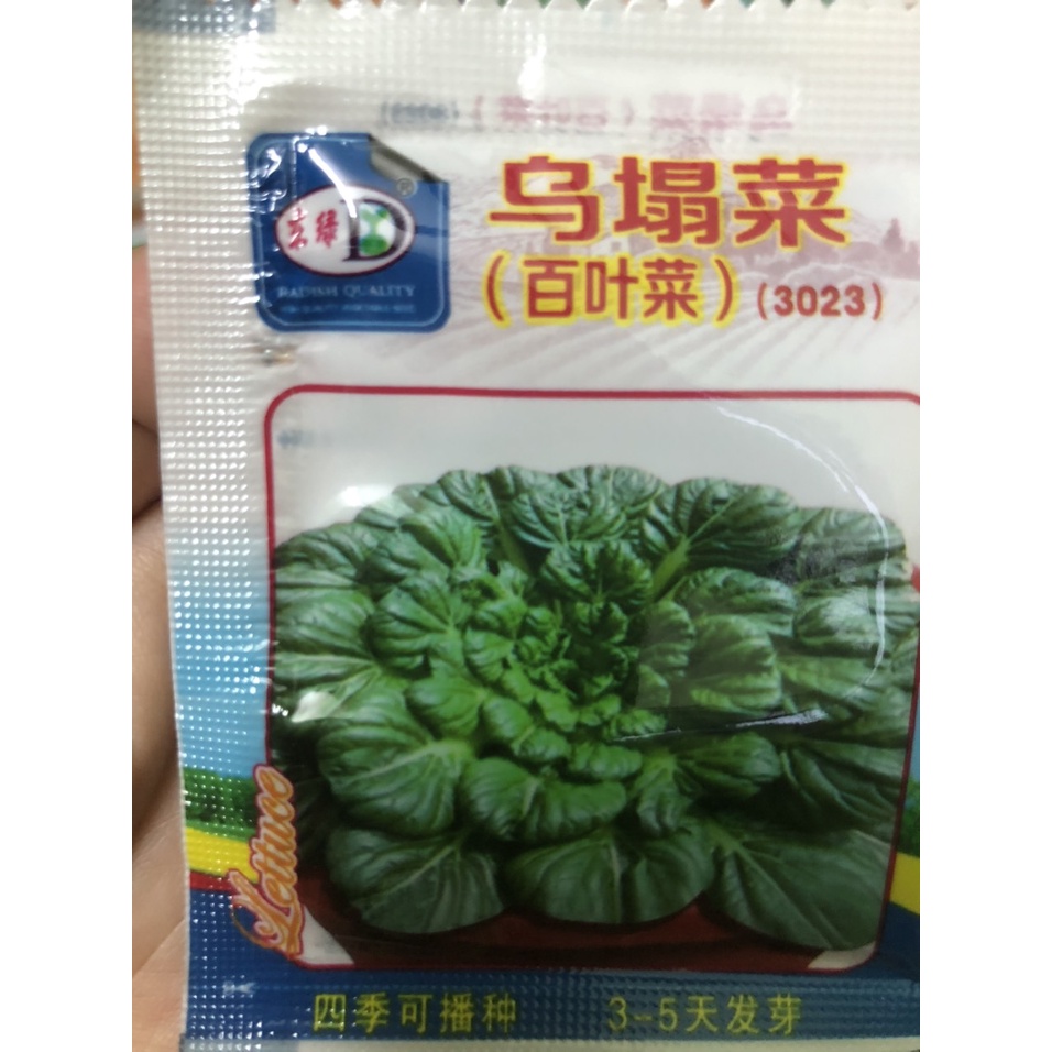 hạt giống cải hoa hồng gói mini nhập khẩu đài loan nguyên bao bì