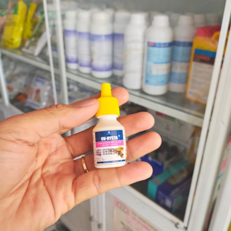 UV- Nista chữa Nấm diều, nấm phổi, nấm họng, đẹn miệng cho gà đá