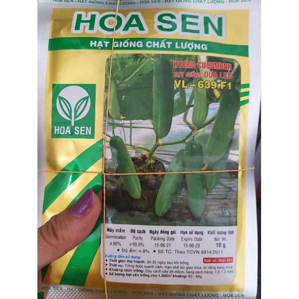 Hạt giống dưa leo Hoa Sen 639 gói 10g