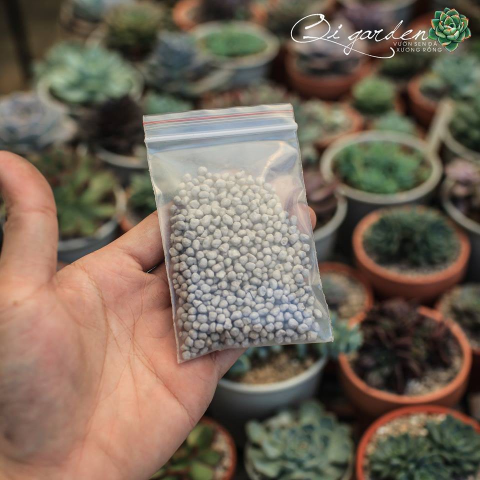 Phân tan chậm cho cây mọng nước