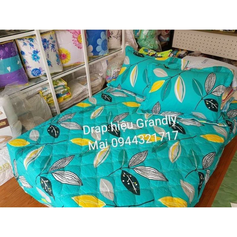 Bộ drap cotton 💯 hàng Cty Grandly m6x2m