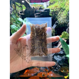 Sâu gạo dành cho hamster