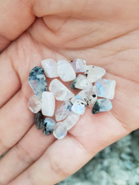 MOON STON E Vụn | BigBuy360 - bigbuy360.vn