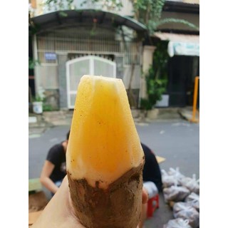 KHOAI SÂM ĐẤT NGON TUYỆT CÚ MÈO