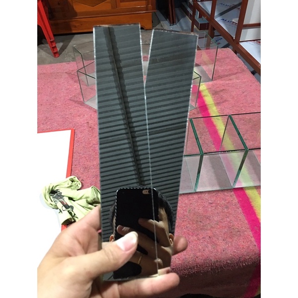 Kính kè cá 2 mặt beta,guppy