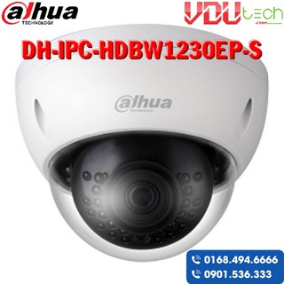 Camera ip dahua-ipc-hdbw1230ep-s - tem dss việt nam