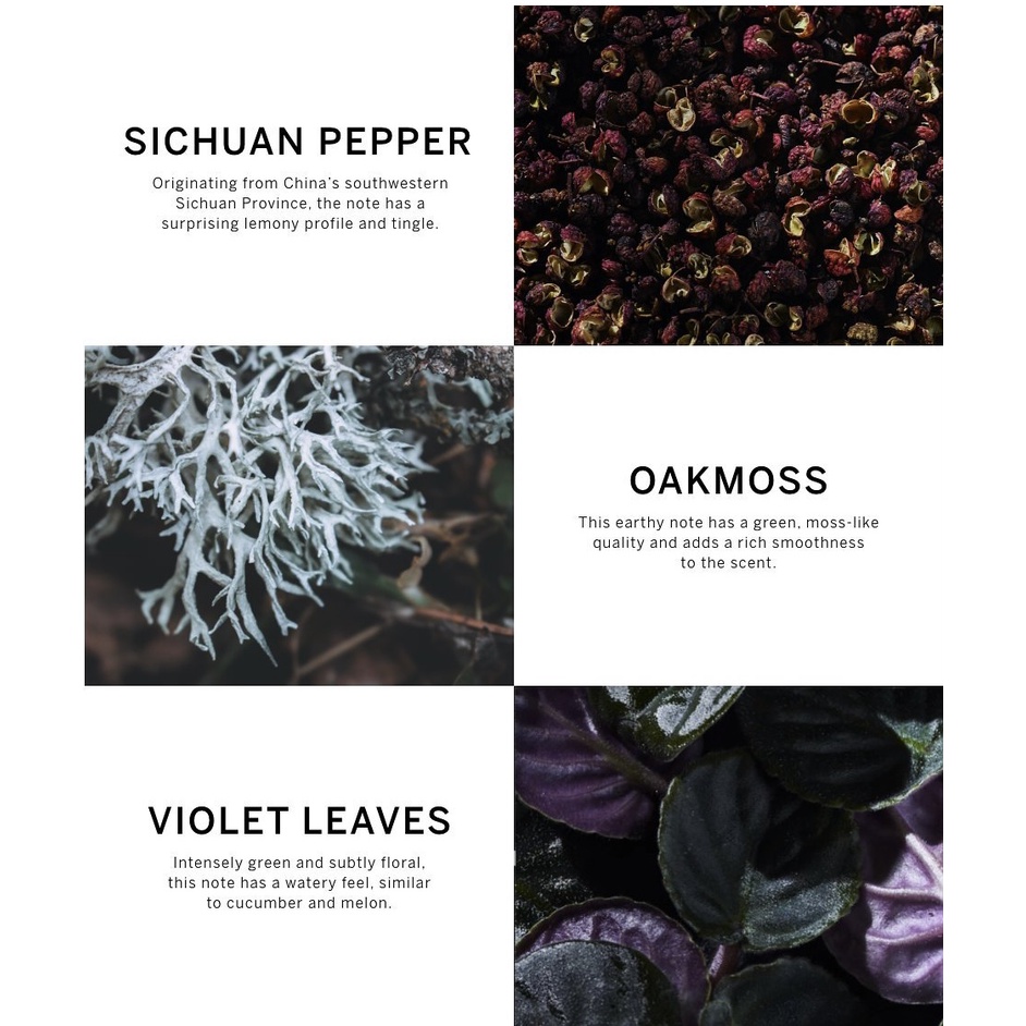 Nước hoa Nam Very Sexy for Him, Platinum Cologne VICTORIA SECRET VS EDC USA 50ml 1.7oz ShopDify