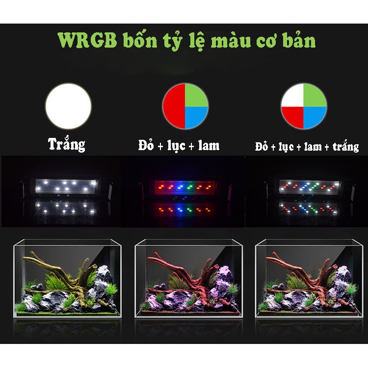 Đèn led máng WRGB đổi màu cho bể cá bể thủy sinh