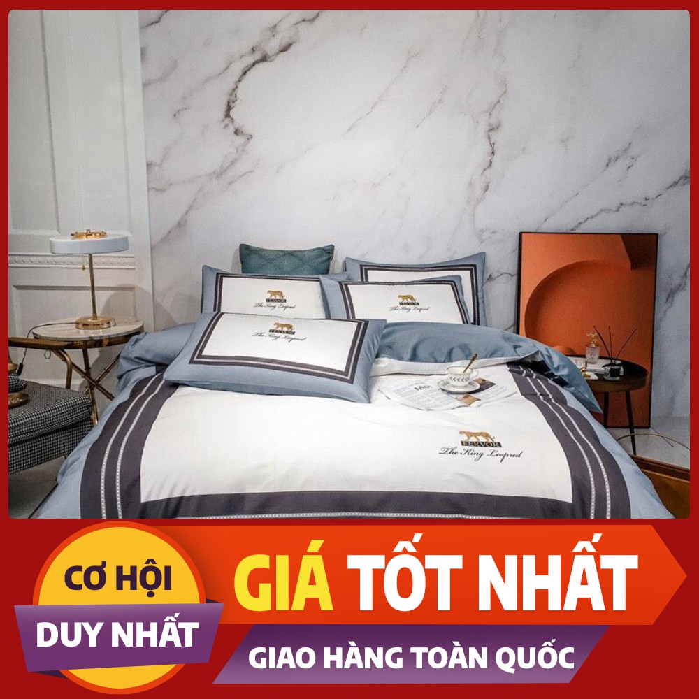 Bộ chăn ga gối cotton 40S in họa tiết