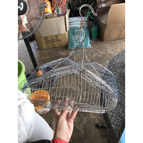 Lụp bẫy inox chim sâu, hút mật, ốc mít