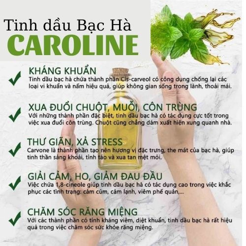 Tinh dầu Bạc Hà Caroline 10ml/50ml/100ml