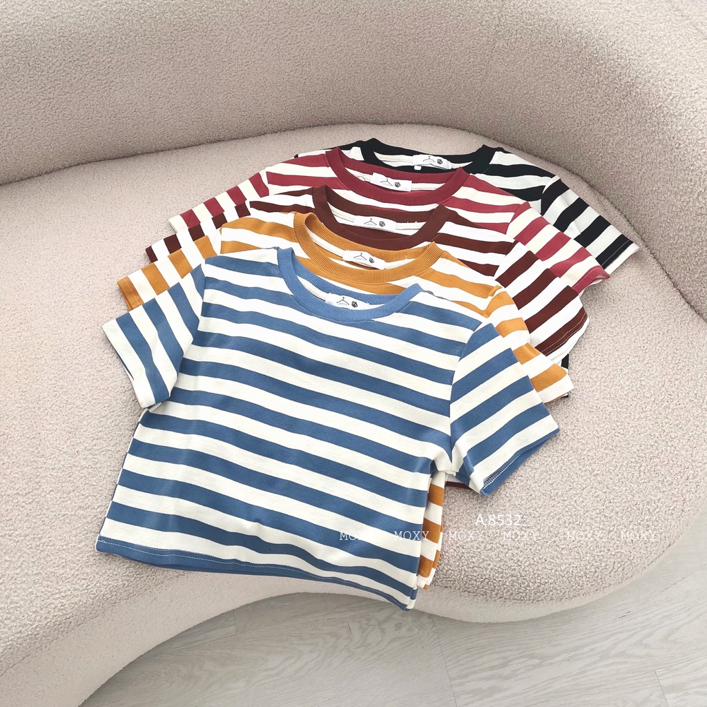 SP008532-Áo thun sọc lớn