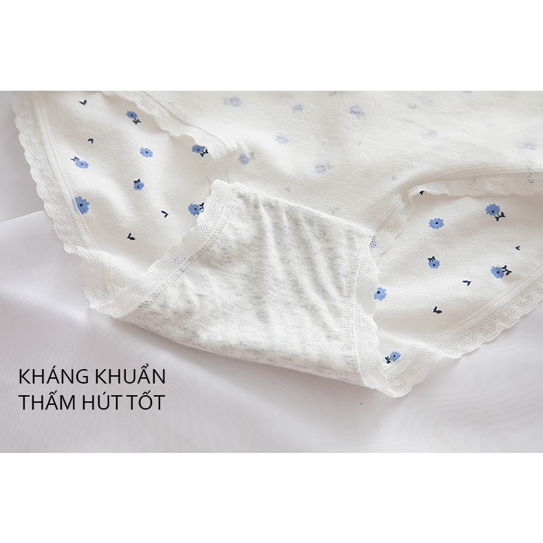 Quần lót cute nữ gân tăm kháng khuẩn kẻ sọc ngang kiểu Malip 308