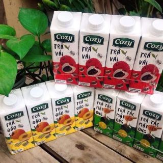 [SỈ THÙNG 24 HỘP] TRÀ HOA QUẢ COZY