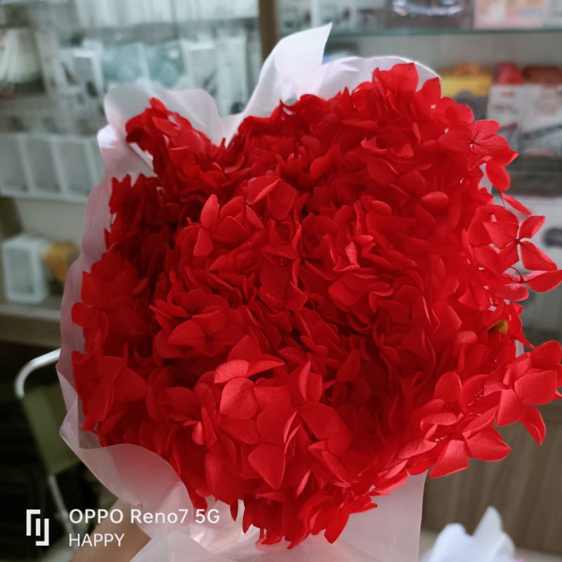 Hộp 15gr Hoa Cẩm Tú Cầu Khô, trang trí, làm thiệp, nail, resin, handmade
