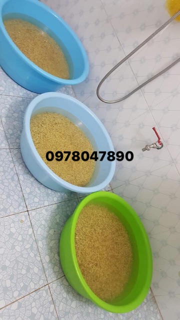 MẦM ĐẬU NÀNH NGUYÊN CHẤT TUỆ LINH (1kg)