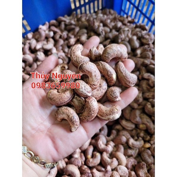 Hạt Điều thủy nguyên