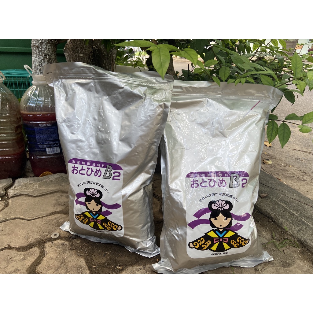 Cám Nhật B2 Chuyên dụng cho cá Guppy,bảy màu và cá cảnh nhỏ hủ 50-10G