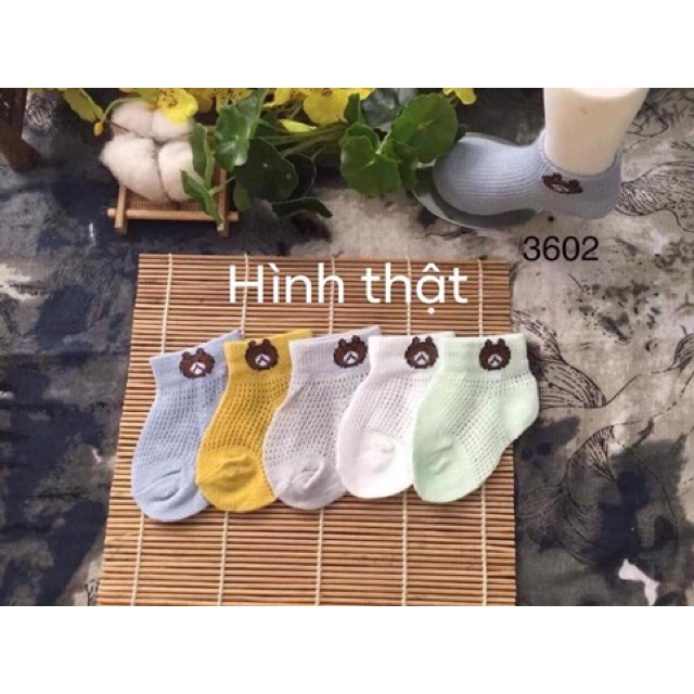 Set 5 đôi tất vớ lưới cho bé hình gấu đáng yêu đi bốn mùa