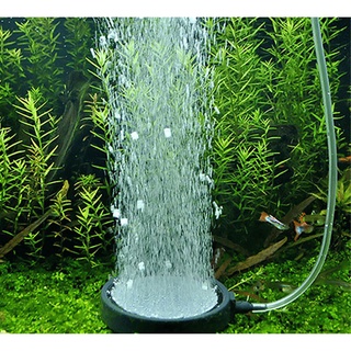 Đĩa sủi mịn - cục sủi oxy nano hồ cá cảnh