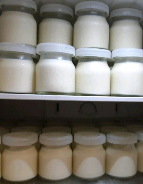 12 HŨ THỦY TINH ĐỰNG SỮA CHUA CÓ CHỨNG NHẬN AN TOÀN THỰC PHẨM