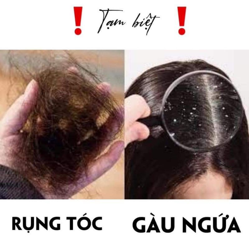 DẦU GỘI THẢO DƯỢC