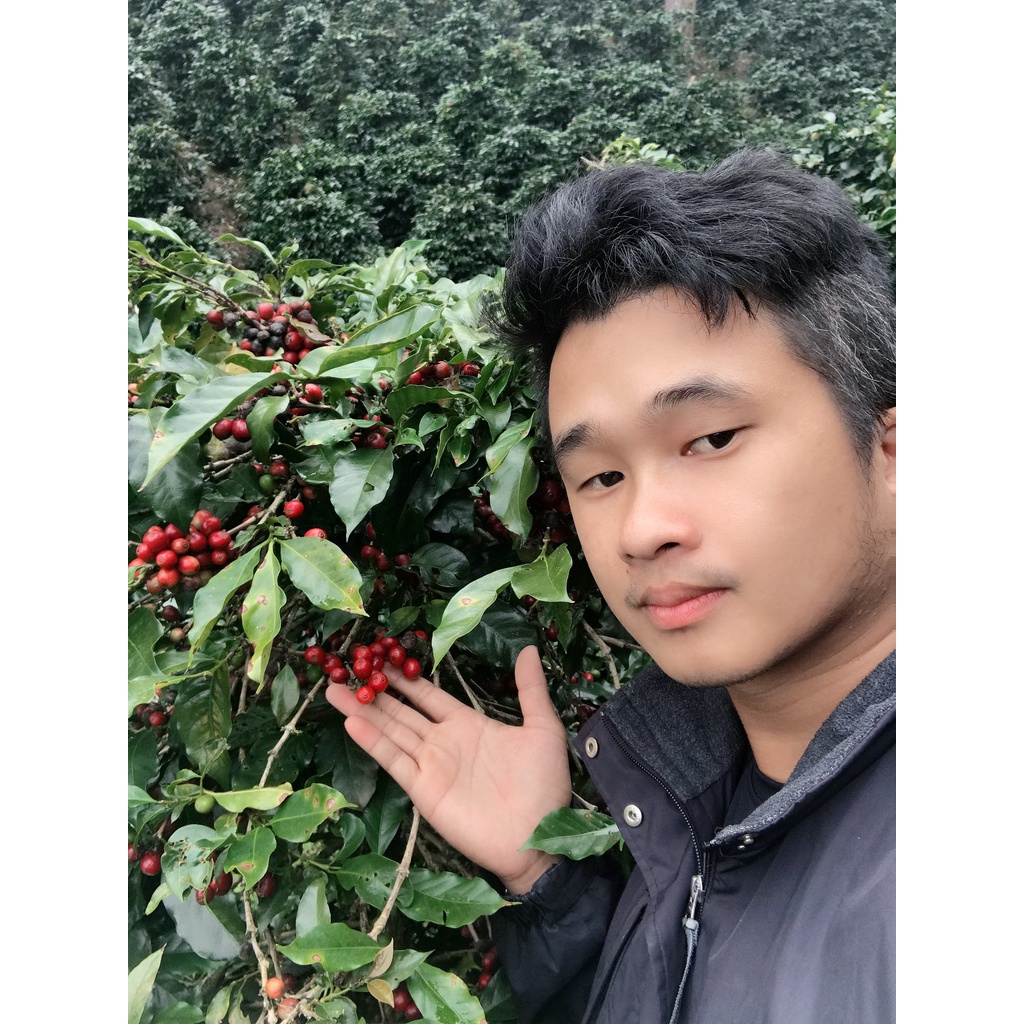 Cà Phê Nguyên Chất. Cafe Hạt Pha Phin, Pha Máy, Đắng Diệu, Thơm Nhẹ Quyến Rũ. NguyenPhu Coffee & Roastery | BigBuy360 - bigbuy360.vn