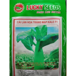 Hạt giống rau cải làn - 20 gr