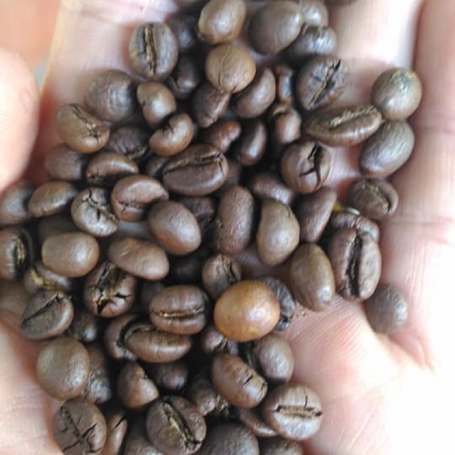 Cafe arabica-robusta nguyên chất