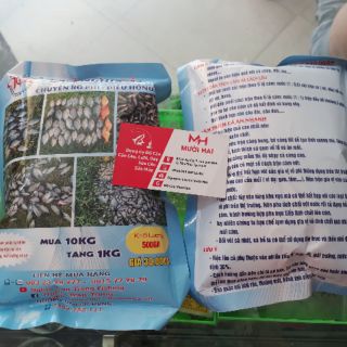 Cám Nghĩa N5 (CHUYÊN RÔ PHI,DIÊU HỒNG)